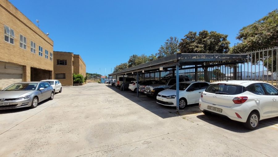 To Let commercial Property for Rent in Paarden Eiland Western Cape